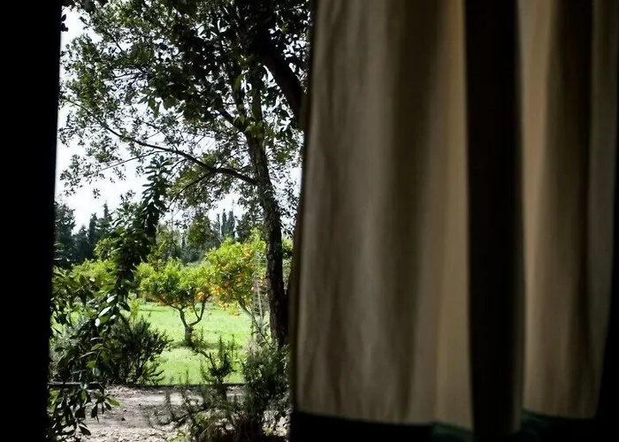 Archelao * أوريستانو