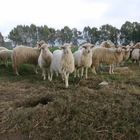 Farmház Archelao *