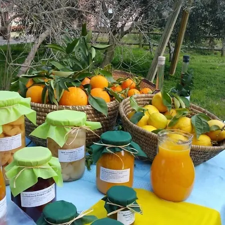 Archelao Farmház